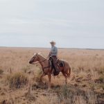 a man riding on the back of a brown horse