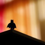 silhouette of bird on top of brown wooden shelf